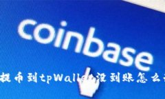   提币到tpWallet没到账怎么