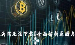 tpWallet为何无法下载？全面