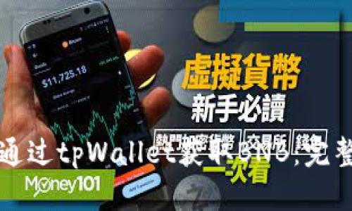如何通过tpWallet获取BNB：完整指南