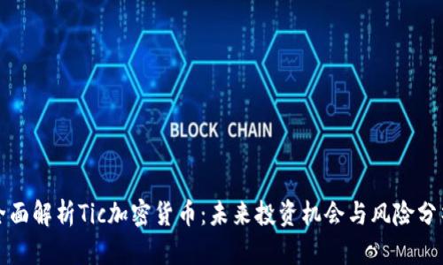 全面解析Tic加密货币：未来投资机会与风险分析