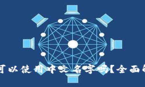 tpWallet注册可以使用中文名字吗？全面解答与实用指南