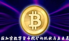 美国加密数字货币挖矿的