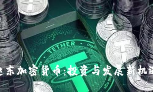 赵东加密货币：投资与发展新机遇