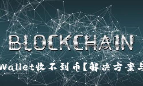 为什么我的tpWallet收不到币？解决方案与常见问题解答