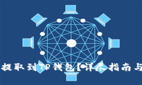 如何将HT代币提取到TP钱包？详尽指南与常见问题解答