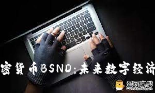 印度加密货币BSND：未来数字经济的先锋
