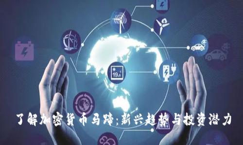 了解加密货币马蹄：新兴趋势与投资潜力