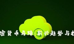 了解加密货币马蹄：新兴