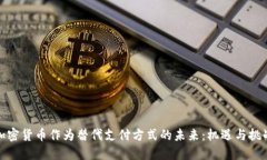 加密货币作为替代支付方