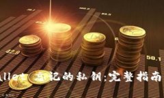 如何找回 tpWallet 忘记的私钥：完整指南与常见问
