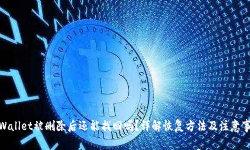 tpWallet被删除后还能找回吗？详解恢复方法及注意事项