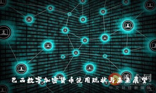 巴西数字加密货币使用现状与未来展望