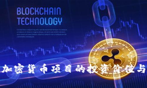 全面解析加密货币项目的投资价值与风险评估