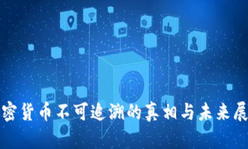 加密货币不可追溯的真相与未来展望