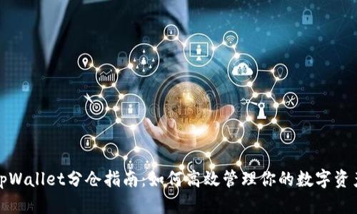tpWallet分仓指南：如何高效管理你的数字资产