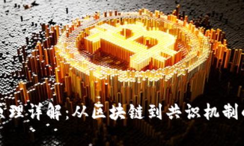 加密货币原理详解：从区块链到共识机制的全面解析