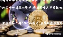   全方位解析BIUT加密货币：投资亮点与未来展望