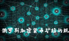 深入探索俄罗斯加密货币矿场的现状与未来