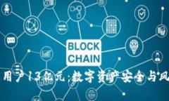 tpWallet转走用户13亿元：数字资产安全与风险的深