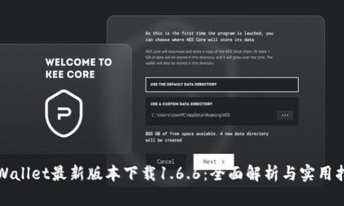 tpWallet最新版本下载1.6.6：全面解析与实用指南