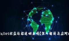 tpWallet被盗还能追回来吗？深入解析与应对措施