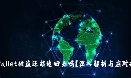 tpWallet被盗还能追回来吗?深入解析与应对措施