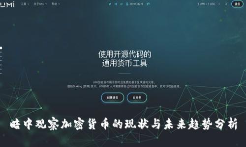 暗中观察加密货币的现状与未来趋势分析