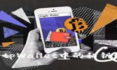 如何安全地导出tpWallet中的私钥：步骤与注意事项