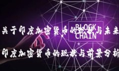 关于印度加密货币的现状与未来印度加密货币的