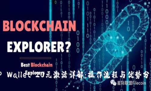 TP Wallet 20元激活详解：操作流程与优势分析