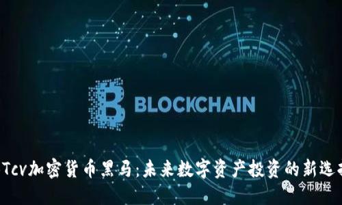 BTcv加密货币黑马：未来数字资产投资的新选择