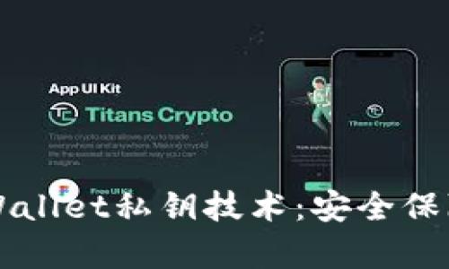 深入解析tpWallet私钥技术：安全保障与操作指南