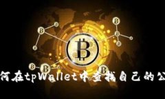 如何在tpWallet中查找自己的公钥