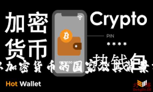 承认加密货币的国家及其背景分析