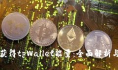 如何获得tpWallet能量：全面解析与应用