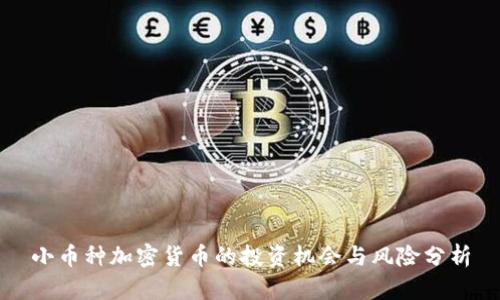 小币种加密货币的投资机会与风险分析