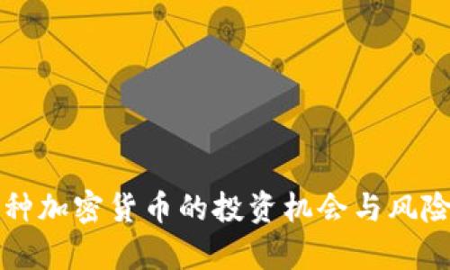 小币种加密货币的投资机会与风险分析