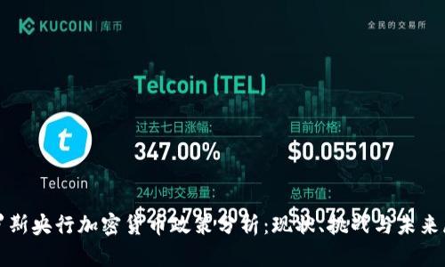 俄罗斯央行加密货币政策分析：现状、挑战与未来展望