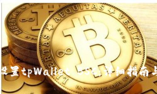 如何在电脑上设置tpWallet BSC：详细指南与常见问题解答