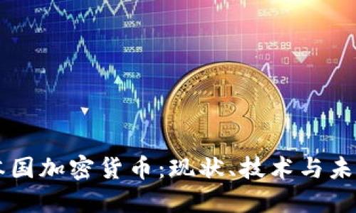 了解本国加密货币：现状、技术与未来发展