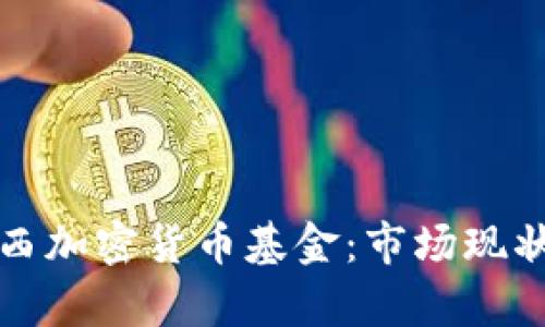 深入探讨巴西加密货币基金：市场现状与未来前景