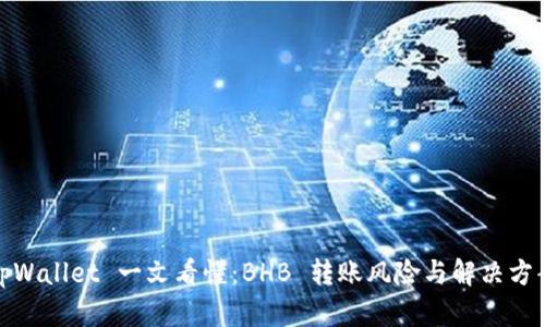 tpWallet 一文看懂：BHB 转账风险与解决方案
