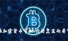 委内瑞拉加密货币审批：经济复苏的希望与挑战