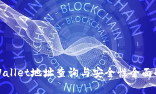 tpWallet地址查询与安全性全面解析