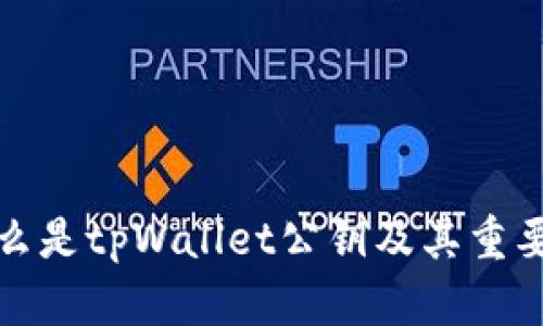 什么是tpWallet公钥及其重要性