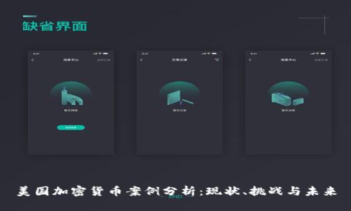 美国加密货币案例分析：现状、挑战与未来