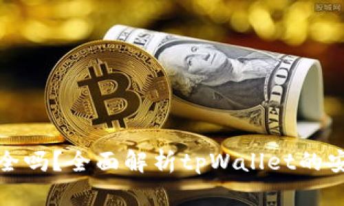 tpWallet安全吗？全面解析tpWallet的安全性与风险