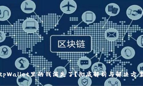 tpWallet里的钱消失了？彻底解析与解决方案