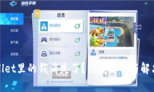 tpWallet里的钱消失了？彻底解析与解决方案
