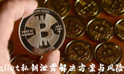 
tpWallet私钥泄露解决方案与风险应对